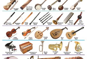 सबसे लोकप्रिय भारत पारंपरिक संगीत वाद्ययंत्र